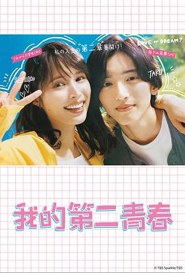 快速seo排名优化到需火20星周到