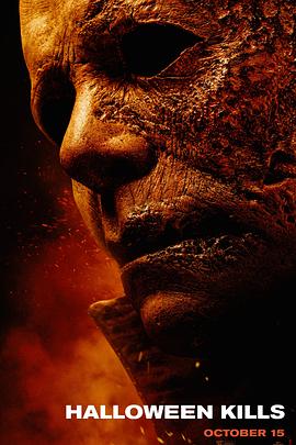 石家庄专业的seo优化收费标准